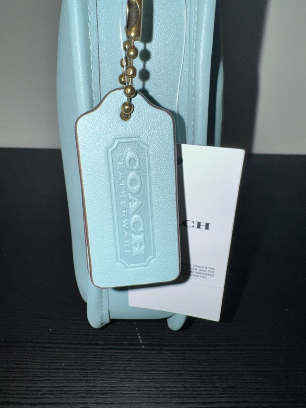 Coach Glove Tanned Leather Shoulder Bag in Light Blue- The Curve Zip Bag - Picture 4 of 8